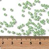 Baking Paint Glass Seed Beads SEED-S042-15A-08-4