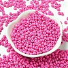 Baking Paint Glass Seed Beads SEED-B001-02A-01-2