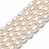 Natural Cultured Freshwater Pearl Beads Strands PEAR-N012-04D-3