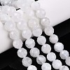 Natural Moonstone Beads Strands G-S345-8mm-36-2