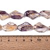 Handmade Lampwork Beads Strands LA-N046-02M-4