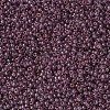 MIYUKI Round Rocailles Beads X-SEED-G007-RR2448-3