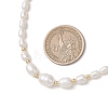 Natural Cultured Freshwater Pearl Necklaces for Women NJEW-JN05940-3