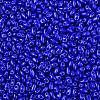 Baking Paint Glass Seed Beads SEED-T006-03-01-2