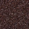 MIYUKI Delica Beads SEED-MY11-DB1891-3