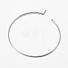 316 Surgical Stainless Steel Hoop Earrings Findings STAS-I097-050D-3