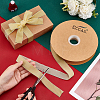 Velvet Ribbon SRIB-WH0006-18J-3