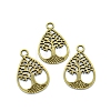 Tibetan Style Alloy Pendants PW-WG213DF-01-1