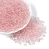 FGB Transparent Glass Seed Beads SEED-N013-01A-10-1