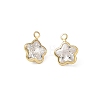 Brass Pave Clear Cubic Zirconia Charms CU-CBAD360-03G-02-1