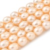 Natural Cultured Freshwater Pearl Beads Strands PEAR-I007-01F-07B-2