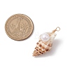 3Pcs Natural Shell Pendants PALLOY-JF03226-02-2