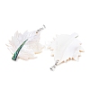 Natural Paua Shell & White Shell Pendants KK-C135-03P-2