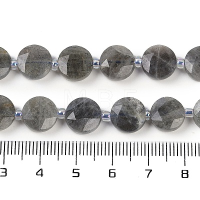 Natural Labradorite Beads Strands G-C116-A46-01-1