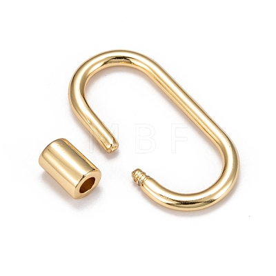 Brass Screw Carabiner Lock Charms KK-T047-07G-1