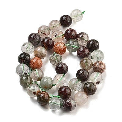 Natural Four Seasons Lodolite Quartz Beads Strands G-Z063-A02-02-1