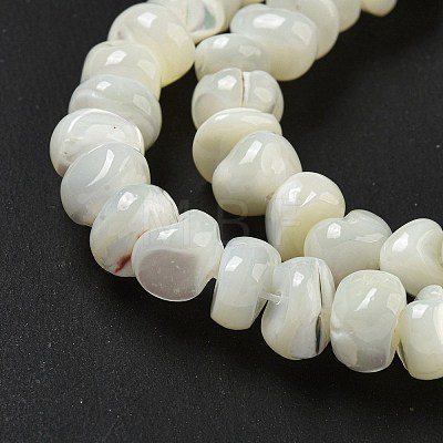 Natural Trochus Shell Beads Strands BSHE-G039-01B-1