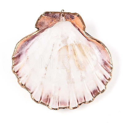 Electroplate Sea Shell Big Pendants SHEL-T012-47-1