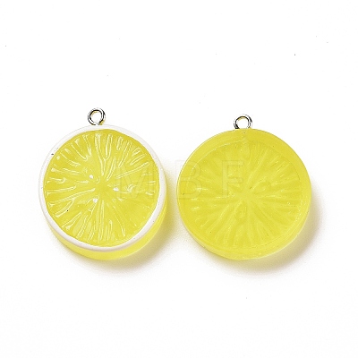 Flat Round Resin Fruit Pendants RESI-H144-10C-1