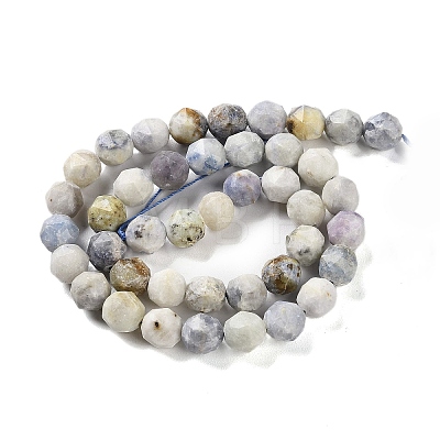 Natural Sodalite Beads Strands G-NH0021-A25-02-1