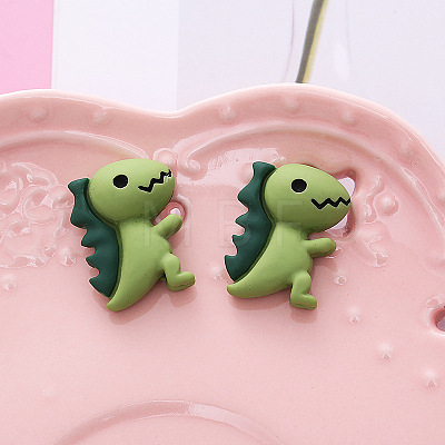 Opaque Resin Cabochons WG88578-01-1