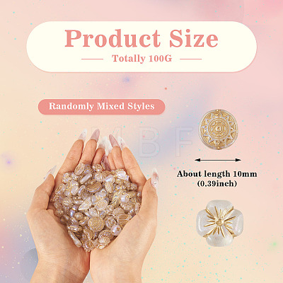 100G Transparent Acrylic Beads OACR-BT0001-05E-1