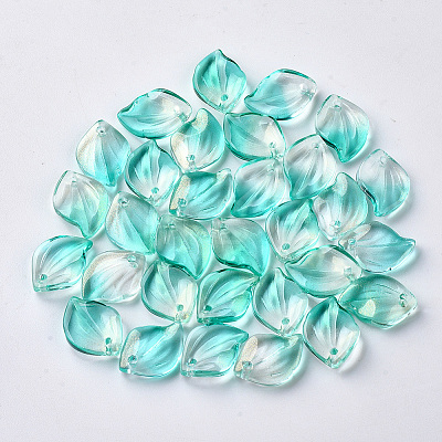 Transparent Spray Painted Glass Pendants LS-GLAA-S054-001B-04-1