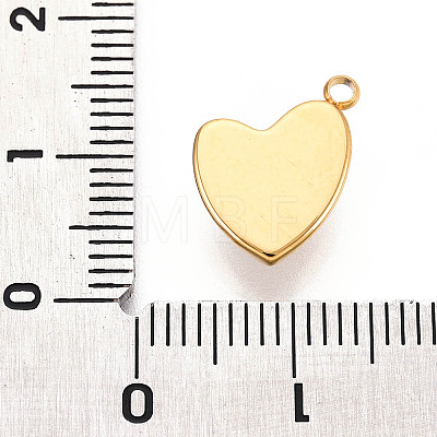 304 Stainless Steel Charms STAS-N110-23G-1