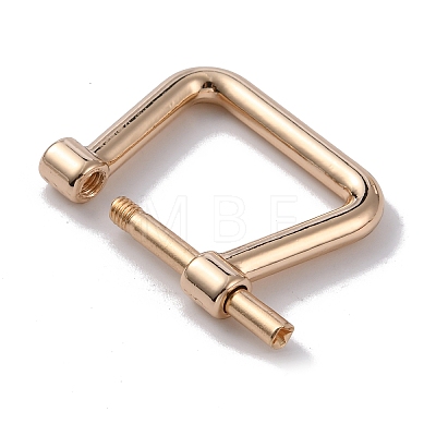 Alloy D-Rings with Screw Shackle FIND-WH0010-30-1
