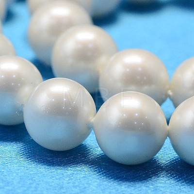 Round Shell Pearl Bead Strands X-BSHE-L011-8mm-A013A-1