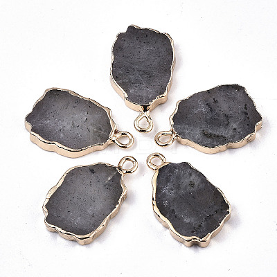 Natural Labradorite Pendants G-N326-41D-1