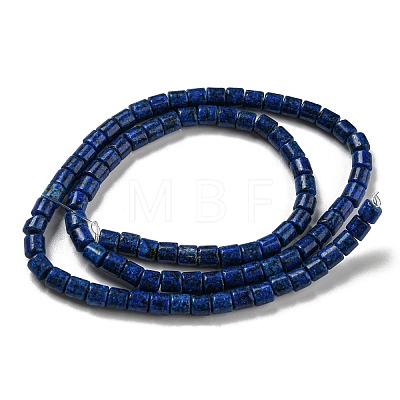 Natural Lapis Lazuli Beads Strands G-C084-A05-01-1