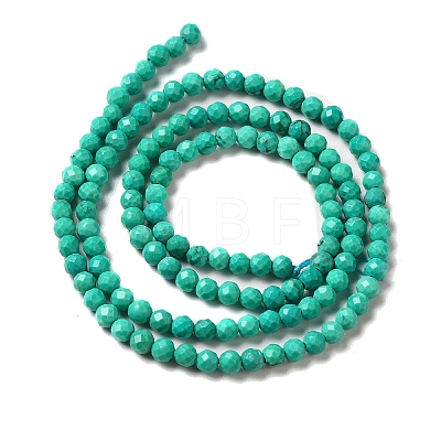 Natural Howlite Beads Strands G-C025-02B-02-1