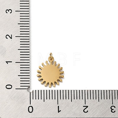 304 Stainless Steel Charms STAS-K263-06G-03-1