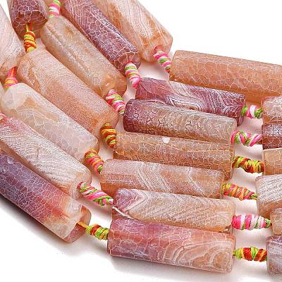 Natural Weathered Agate Beads Strands G-A321-C02-01A-1