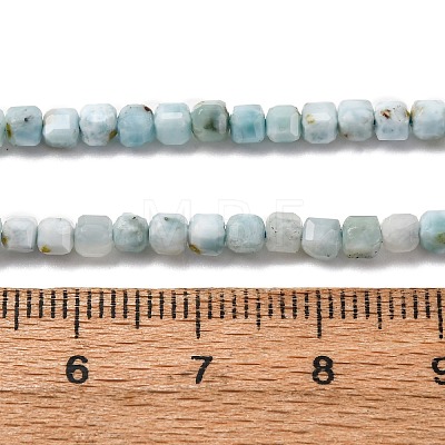 Natural Larimar Beads Strands G-F803-C01-02-1