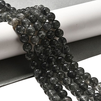 Natural Biotite Beads Strands G-F784-A03-01-1