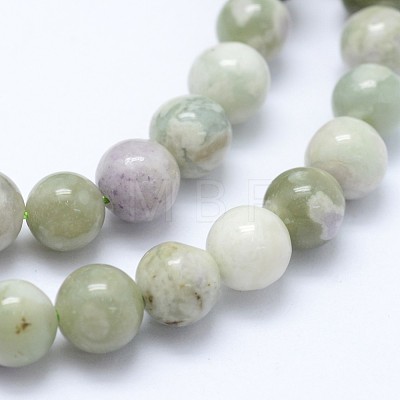 Natural Peace Jade Beads Strands G-I206-20-6mm-1