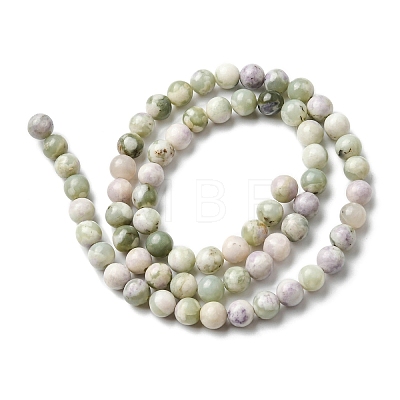Natural Peace Jade Beads Strands G-E598-04C-1