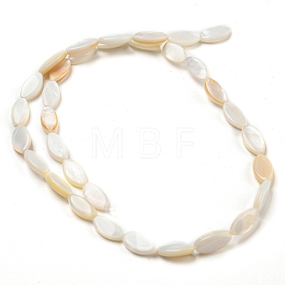 Natural Freshwater Shell Beads Strands BSHE-Z005-05-1