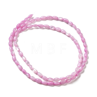 Natural Trochus Shell Beads Strands X-SHEL-K006-19A-1