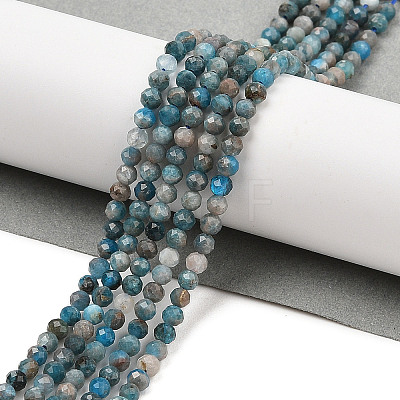 Natural Apatite Beads Strands G-K185-02-3mm-01-1