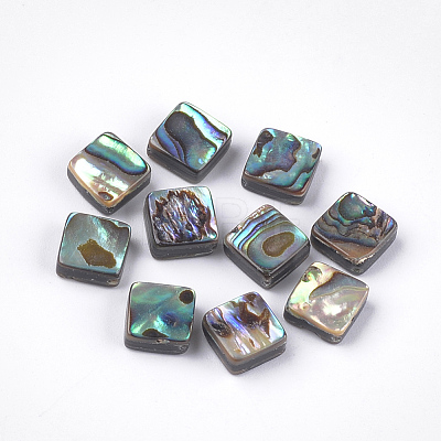 Abalone Shell/Paua Shell Beads SSHEL-T008-02-1