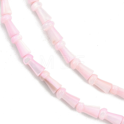 Natural Freshwater Shell Beads Strands SHEL-G013-02G-1