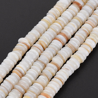 Natural Freshwater Shell Beads Strands SHEL-T018-31-1