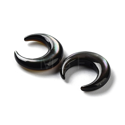 Natural Black Lip Shell Beads SHEL-M020-04A-1