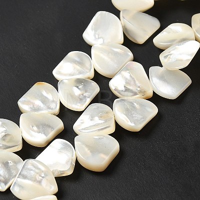 Natural White Shell Beads Strands SHEL-G014-15-1
