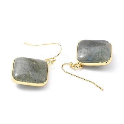 Natural Labradorite Dangle Earrings EJEW-J093-03-1