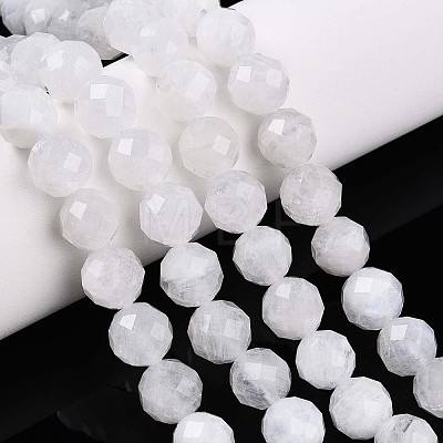 Natural Moonstone Beads Strands G-S345-8mm-36-1