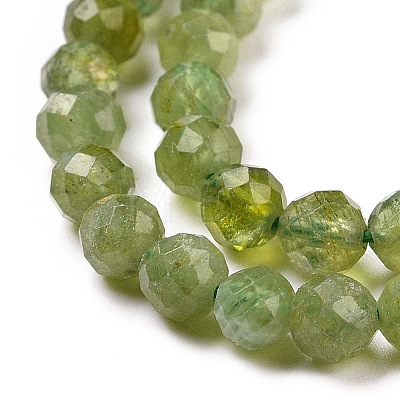 Natural Apatite Beads Strands G-C009-A03-1